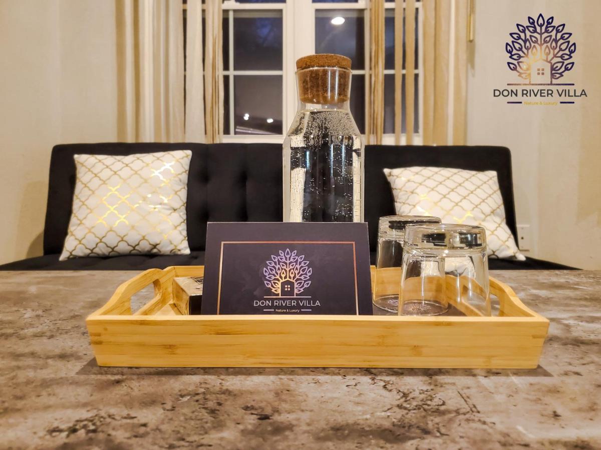 Don River Villa - Boutique Inn Торонто Экстерьер фото